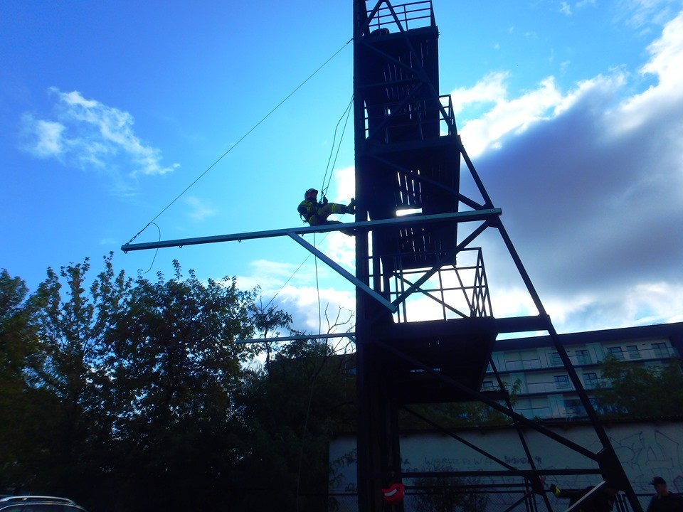 Odznaka warszawskiego tygrysa